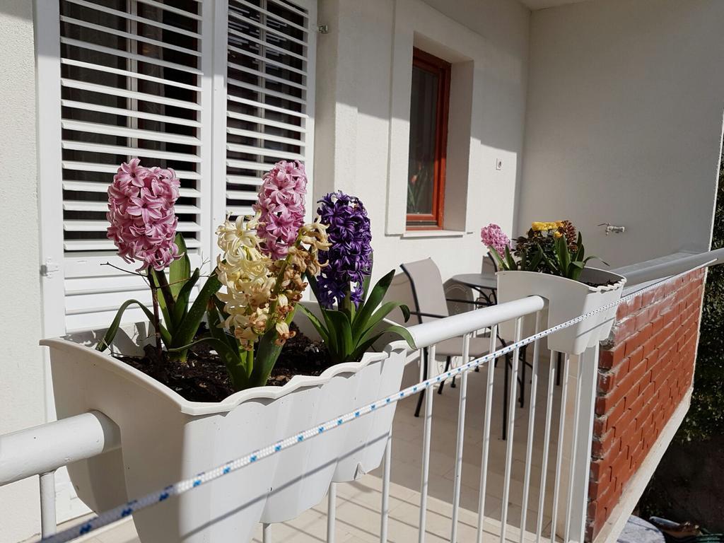 Apartment Vice Mali Σπλιτ Εξωτερικό φωτογραφία